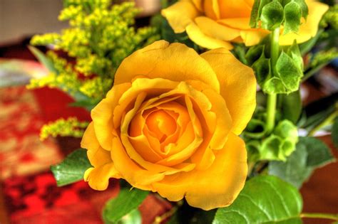 Flower Bouquet Roses Yellow Free Photo On Pixabay Pixabay