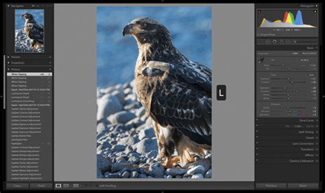 Lightroom overlays in lightroom, the crop tool in the develop module has the same overlay choices as photoshop. 21 Essential Adobe Lightroom Classic Shortcuts - Free Download