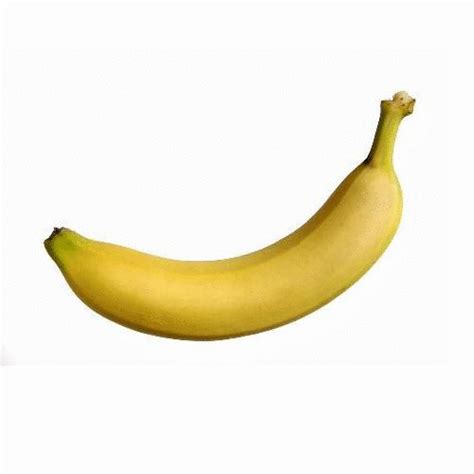Bananas Gifs Best Animated Pics Of Banana For Free My XXX Hot Girl