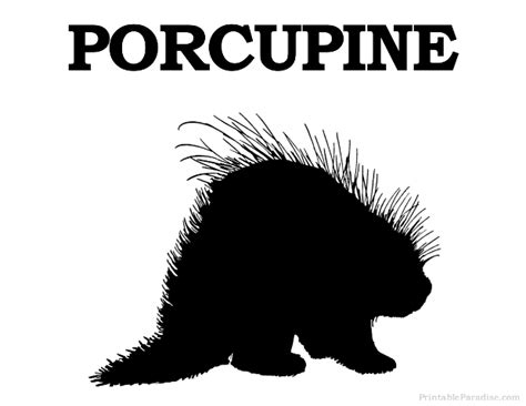 High resolution jpg,cs6 ai and illustrator eps 10 included. Printable Porcupine Silhouette - Print Free Porcupine ...
