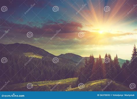 Beautiful Summer Mountain Landscape At Sunshine Stock Image Image Of
