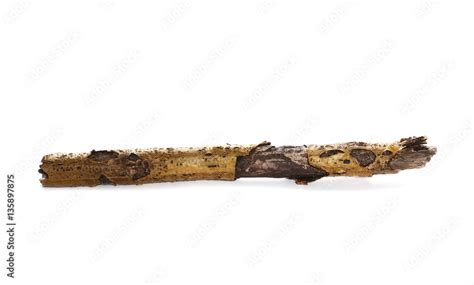 Dry Rotten Branch With Lichen Isolated On White Background Stock 사진