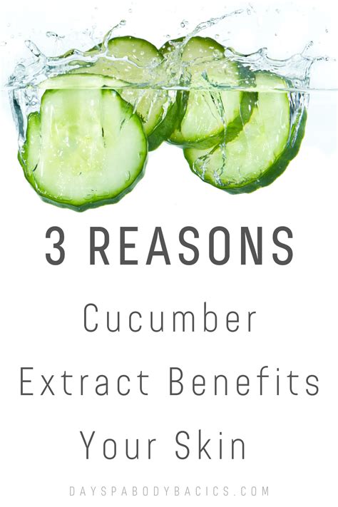 Cucumber Extract Ingredient Highlight Cucumber Benefits Skin