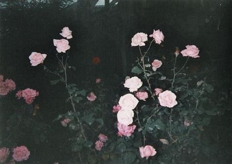 faded aesthetic on Tumblr Angel aesthetic aesthetic grunge aesthetic photo aesthetic pictures soft grunge grunge goth nu goth grunge.