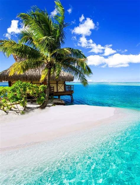 Hermoso Cielo Azul Sobre La Paradisíaca Isla De Tahiti Vacation Places