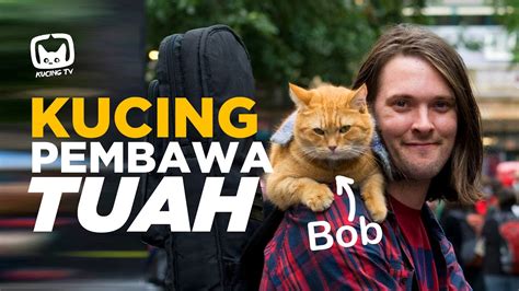 Kisah Benar Bob Si Kucing Jalanan Pembawa Tuah Kucing Tv Youtube