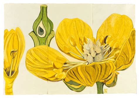 Sarah Graham Selected Works Botanical Art Art Tutorials Watercolor