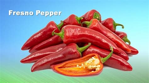 Fresno Pepper Substitute 4 Similar Flavorful Chilies