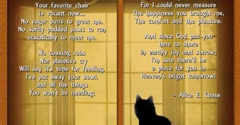 Four Feet In Heaven Poem Cat Memorial Keepsake Picture Frame And Pet