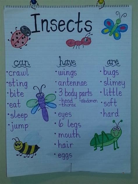 Insects anchor chart | Insects preschool, Insects kindergarten, Insect
