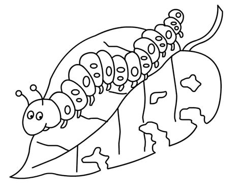 Caterpillar Coloring Pages – Printable Coloring Pages