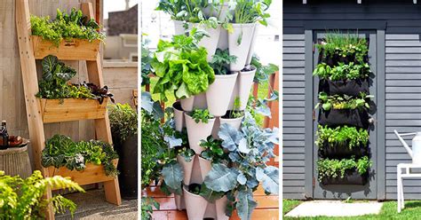 A cinderblock garden is easy to create and can be very versatile. 5 Vertical Vegetable Garden Ideas For Beginners
