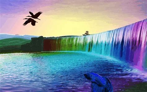 Popular And Trending S S Rainbow Waterfall Waterfall Wallpaper