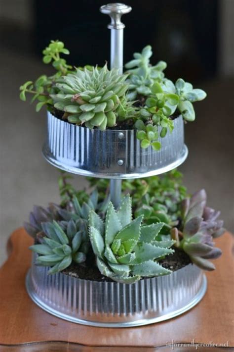Succulent Container Ideas For Your Home Succulents Succulents Garden