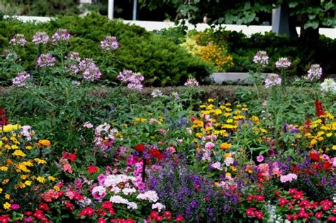 23 Amazing Flower Garden Ideas
