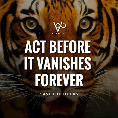 Save Tiger Slogans Taglines And Quotes In 2021 Tiger Quotes Save