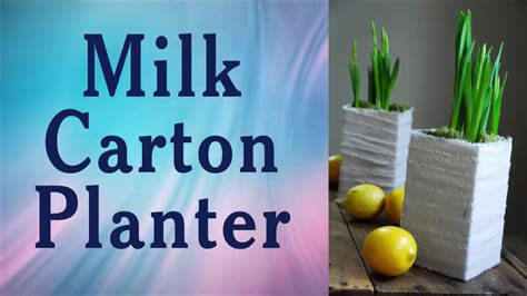 How To Make Milk Carton Planters Ideas An Easy And Fun Method Youtube