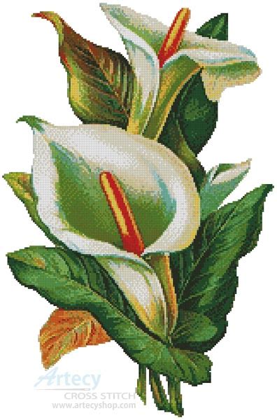 Check spelling or type a new query. Artecy Cross Stitch. Calla Lilies 2 Cross Stitch Pattern ...