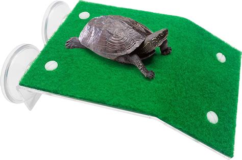 Amazon Com Tfwadmx Turtle Basking Platform Tortoise Climbing Ladder