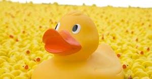 We did not find results for: gambar: Gambar bebek Lengkap