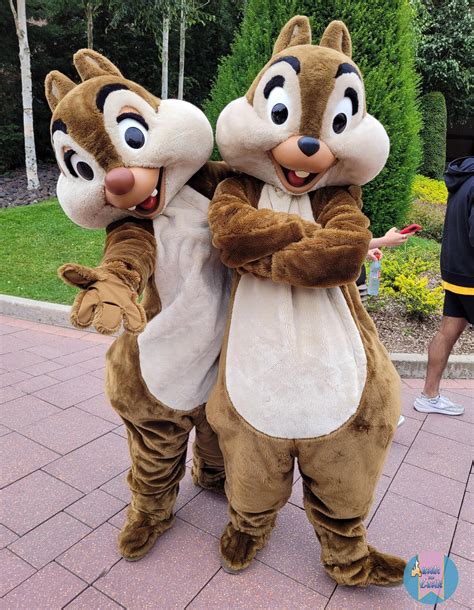 Insidedlpcastle On Twitter Chip And Dale Today Discoveryland 😍