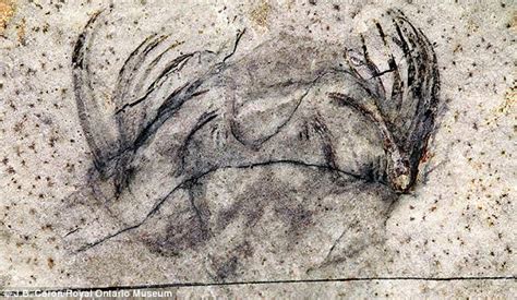 Tiny Prehistoric Sea Worm Had 50 Head Spines Daily Mail