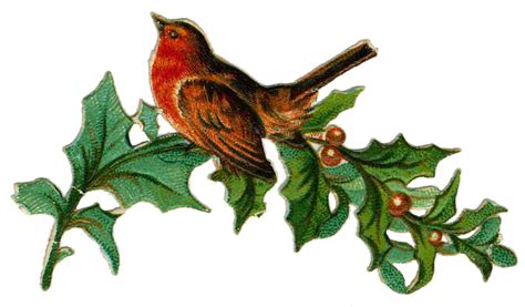 Holiday Birds Christmas Bird Victorian Christmas Christmas Crafts