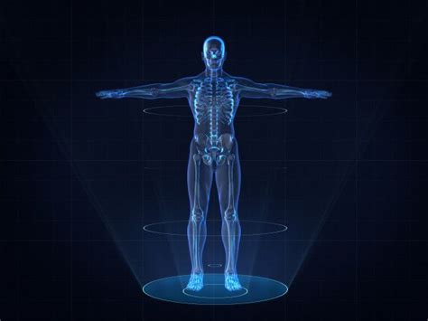 Hologram Image Of Human Male Skeleton Hologram Images Hologram