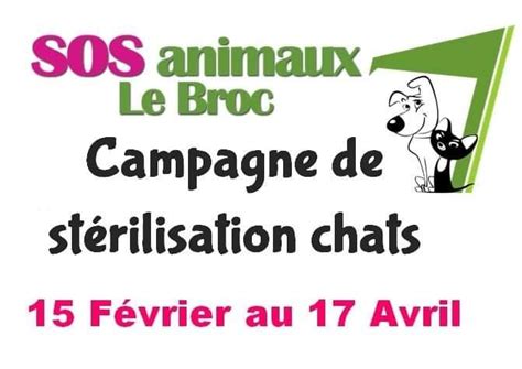 🔻 La Campagne De Stérilisation Sos Animaux Le Broc 63