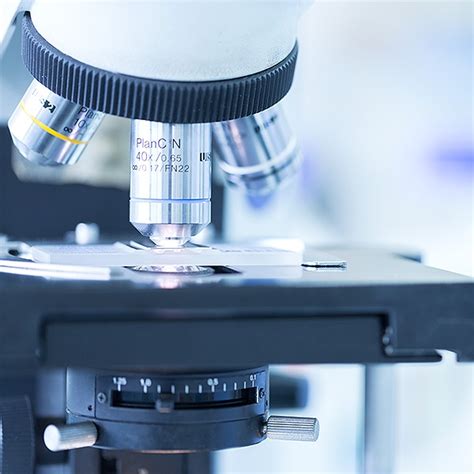 Farbe und beschaffenheit des blutes können bereits auf die blutungsquelle hinweisen. Auf sanfte Weise in Richtung Gesundheit