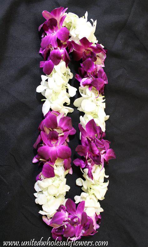 Check spelling or type a new query. Graduation Orchid Lei | Wholesale flowers, Orchid lei ...