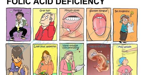 The use of folic acid in combination with a multivitamin supplement for the prevention of neural tube defects and other congenital anomalies. My Family Medicine Practice: Folic acid Deficiency Anemia