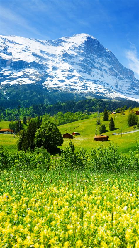 Wallpaper Switzerland 5k 4k Wallpaper Mountains Meadows