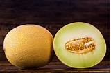 Growing Galia Melons - Learn About The Care Of Galia Melon Plants