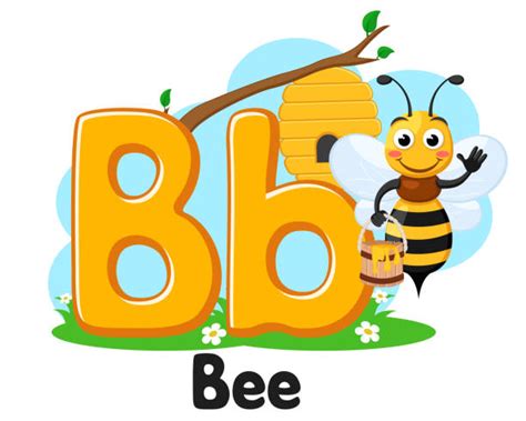 Alphabet Letter B Beevector Illustrations Royalty Free Vector