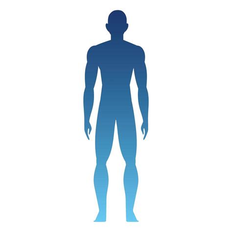 Silhouette Of A Human Body 4057451 Vector Art At Vecteezy