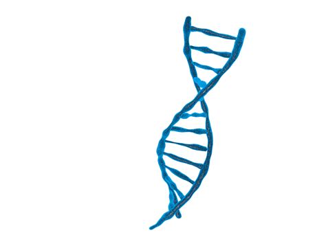 Dna Structure Isolated Background 3d Illustration 18871969 Png
