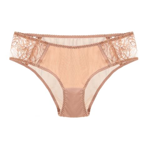 Brown Nude Bikini Hipster Panty Mesh Lace Sheer Brief Tiger Lace