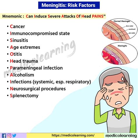 Meningitis Risk Factors Medicolearning