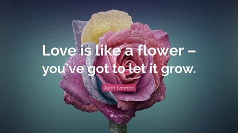 Love Is Like A Garden Quotes Thousands Of Inspiration Quotes About