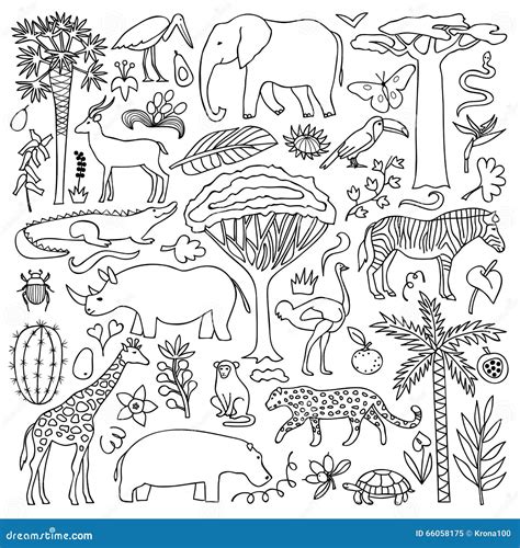 Hand Drawn Africa Set Stock Vector Illustration Of Nature 66058175