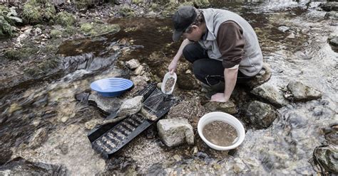 Gold Panning In Maryland A Gold Prospecting Guide Bizarrehobby