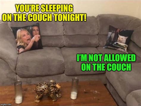 Couch Meme Template