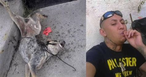 Sujeto Tortura Y Mata A Perro En Coahuila Lo Exhibe En Redes Sociales
