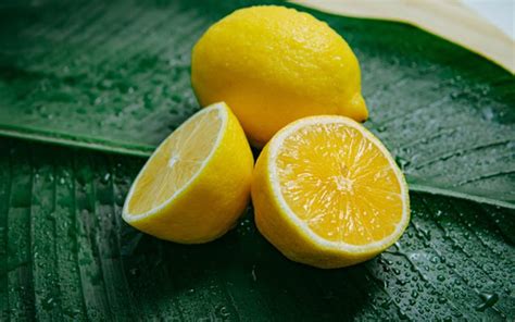 40 Alluring Fun Facts About Lemons Juice Trees And Health