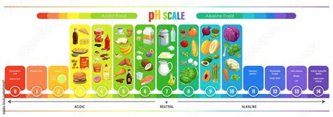 Ph Scale Chart Acid Balance Of Nutrition Measure Meter And Food