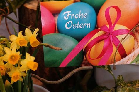 Eichhörnchen schaut aus dem loch und gratuliert dir. Osterwünsche - DFK Schlesien | 2020
