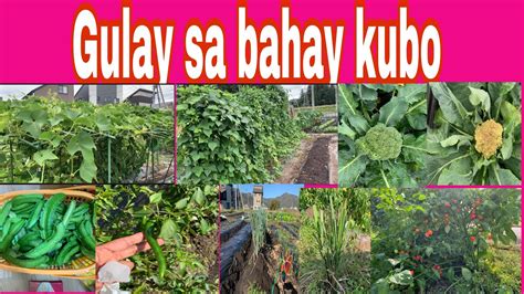 Gulay Sa Bahay Kubo Avainjapan 津南町 Youtube