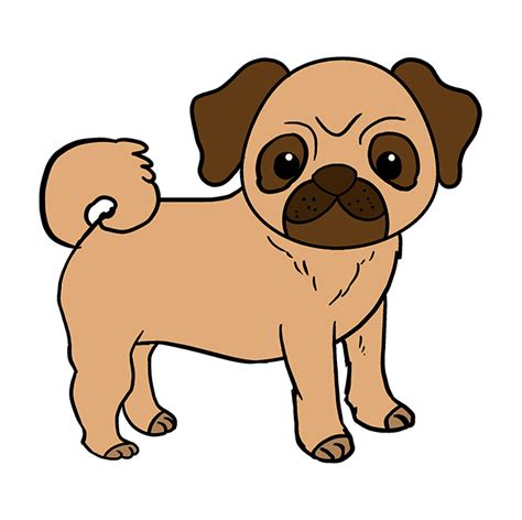 How To Draw A Pug Really Easy Drawing Tutorial