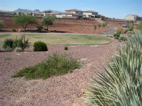 Life In Tucson Homes For Sale In Gladden Farms Marana Az